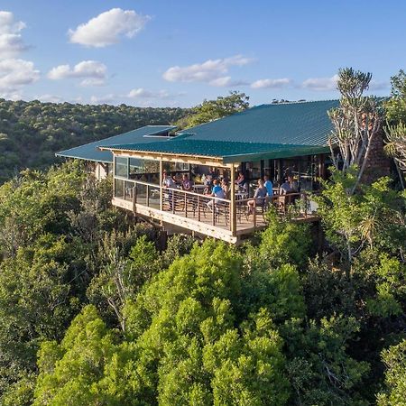 Kariega Game Reserve Main Lodge ケントン・オン・シー エクステリア 写真