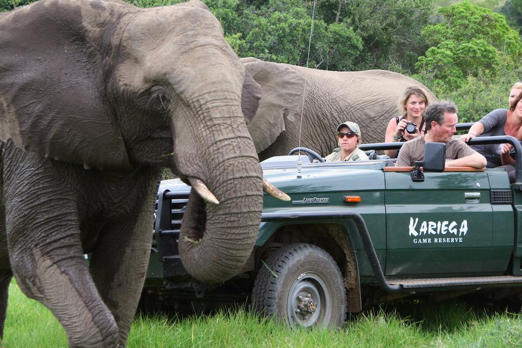 Kariega Game Reserve Main Lodge ケントン・オン・シー エクステリア 写真