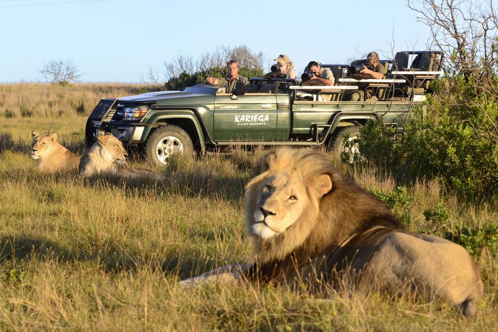 Kariega Game Reserve Main Lodge ケントン・オン・シー エクステリア 写真