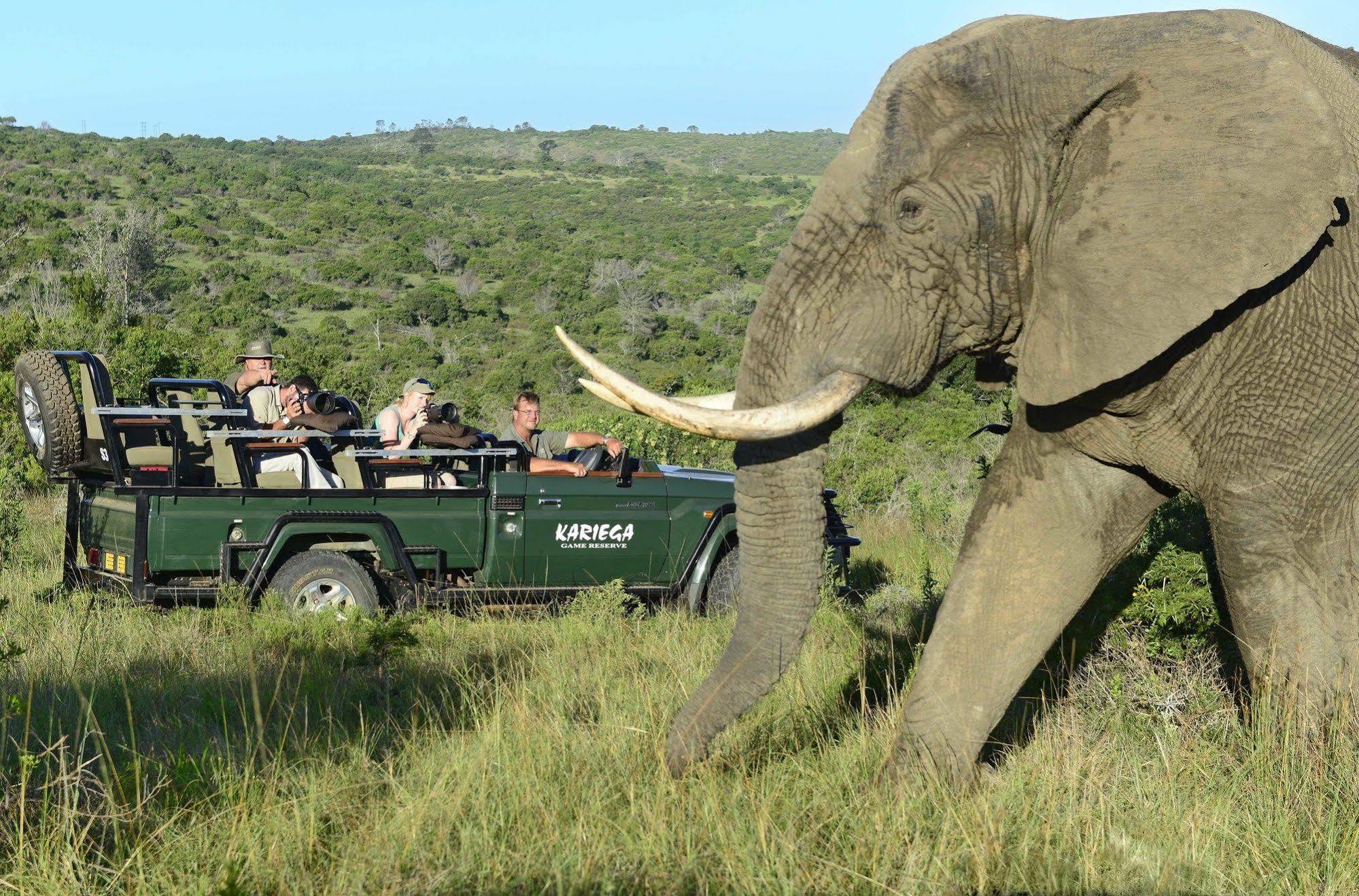 Kariega Game Reserve Main Lodge ケントン・オン・シー エクステリア 写真