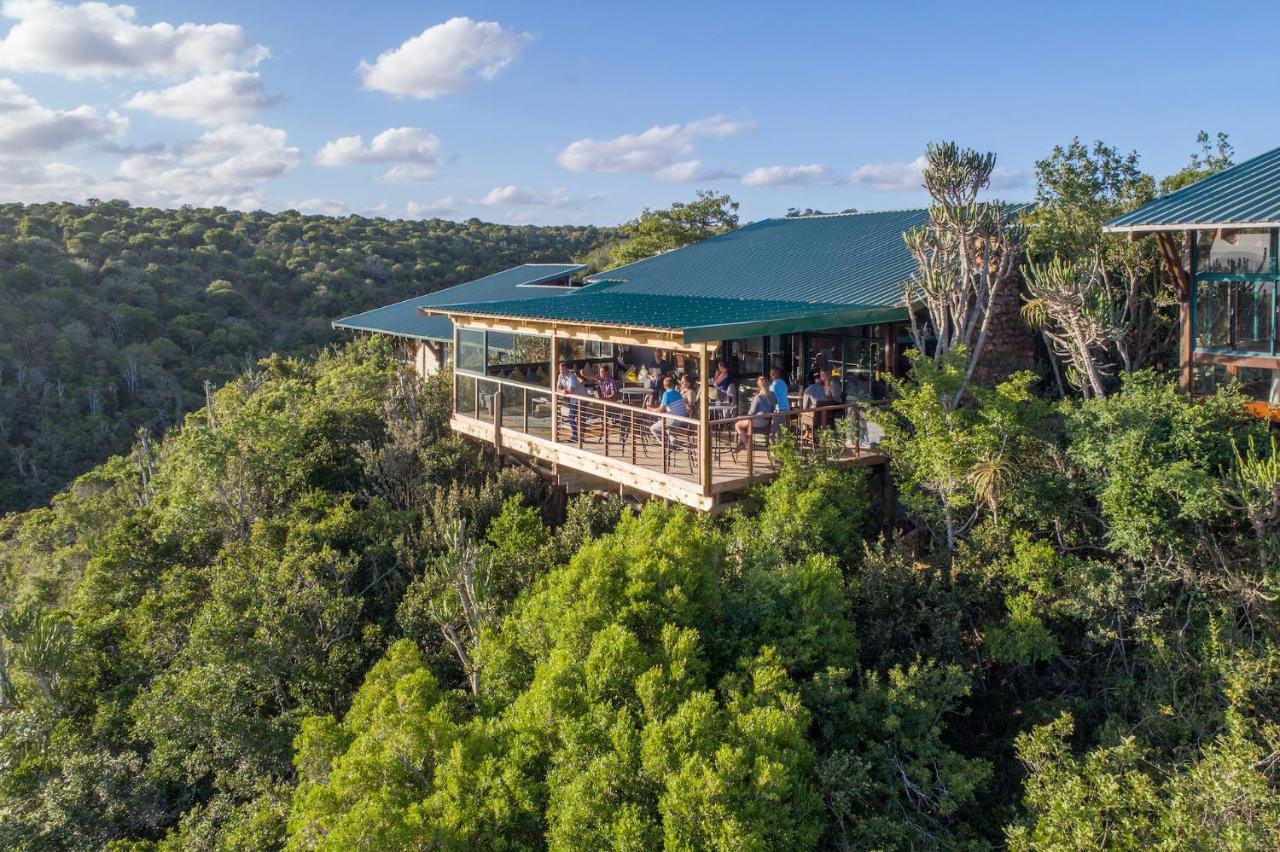 Kariega Game Reserve Main Lodge ケントン・オン・シー エクステリア 写真